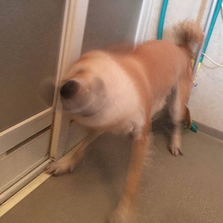 ���乷���������9�� ������