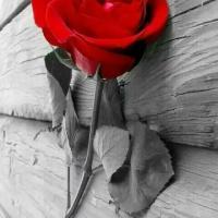 һ�������ĵ����˽�ǩ�� һ���˿�һ����Цһ���˹����˽�