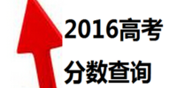 2016�߿�������ѯ��