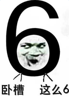 6���˱��������10ö