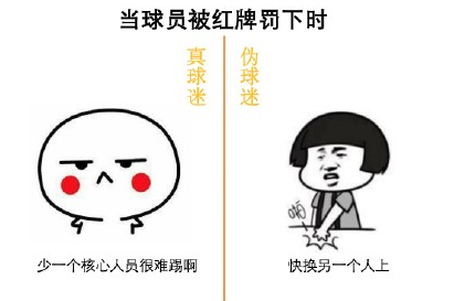 真球迷与伪球迷的区别表情包9枚