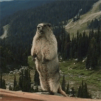 �ɰ�������ͼƬ����ͼƬ �������̲��ź��֮��