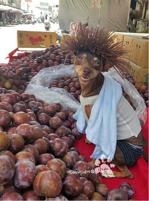 ̨��ˮ��̯�󸾹�ͼƬ������ˮӡ��