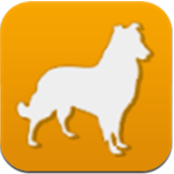 �й������̳�app����v1.0.0 �ٷ���