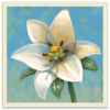 ���黨԰ Inner Garden��Ϸ����v2.18 ��׿��