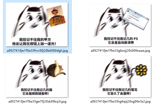 我控记不住我记几啊表情包下载9p无水印