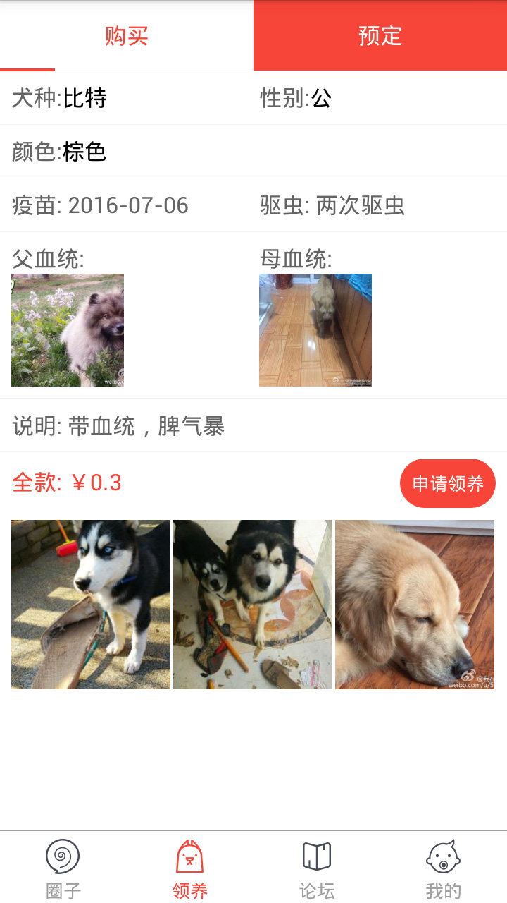 �칷���ٷ�����v1.4 ��׿��