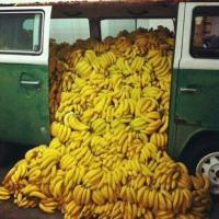 �����Щ���������˵˵  ʧ����ʱ��Ҳ��һ���Ҹ�