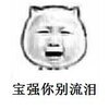 ��ǿ�������mc���߱�������°�