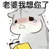 ham�����ֺ����ű����9�ų���