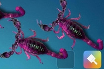 ��Ы������Ļ������ʲô���� �ֻ���������Ы����Ļ