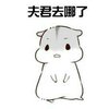 hamham���������Ϲ��ֻ���������