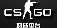 CSGO��սƽ̨