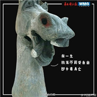 ��������ʯ����Ц����� û�뵽��������������
