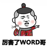 wordʲô˼ʲô word