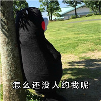 �ܱ��ܴ��ֱ����֮����Ů�� ��������Ķ���