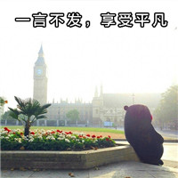 �ܱ��ܱ����ϵ��֮ƽ������ �ܱ��ܸ�Ц�����