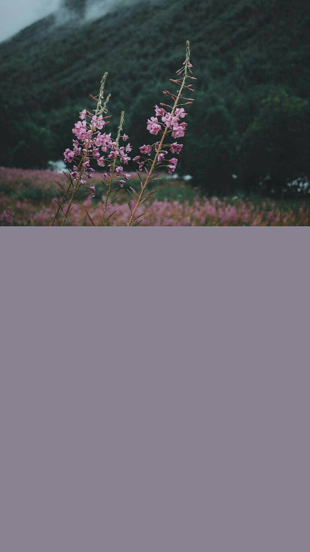���ֽapp����V1.2 ��׿��