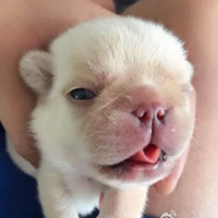 �ɰ�����ȮͼƬ��ȫ �ճ����ķ�������
