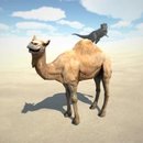 ɳ��ģ������Ϸƻ��������v1.0 iPhone/iPad