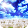 Blue Skies Free���������Ƶ��̬��ֽ��׿��apkv1.0.7 ��׿��