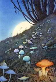 С����Ψ��ͼƬƤ����ȫ�ϼ� ���ǻ������쳾΢��������