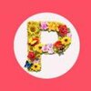 ����Pͼ-ppƴͼ�����������v2.3.0 ���°�