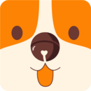 ��������appv4.1.0 ��׿��