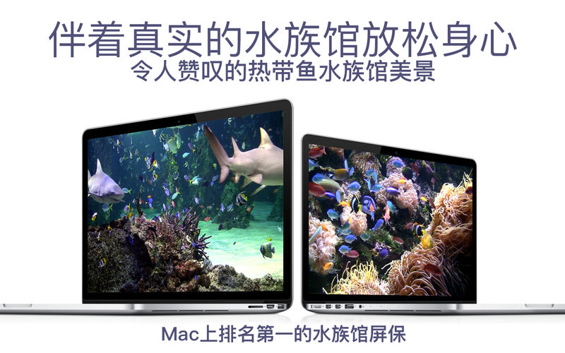 ˮ���HD MAC��