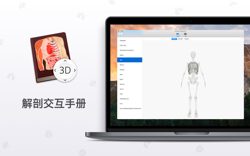 ���ʿ�3Dmac��v1.1.0 ���°�