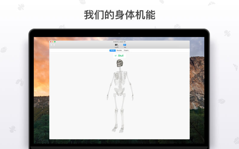 ���ʿ�3Dmac��v1.1.0 ���°�