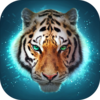 The Tiger��������v1.2 ��׿��