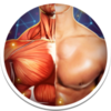 �������ѧ3D for mac��v2.0.0 ���°�