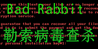 Bad Rabbit��������