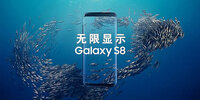 ������ʾs8