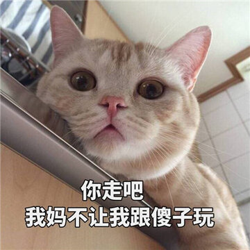 20170202104710_RJtNz.thumb.700_0.jpg