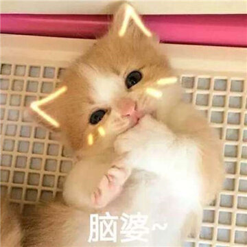 20161222175213_TNv8U.thumb.700_0.jpg