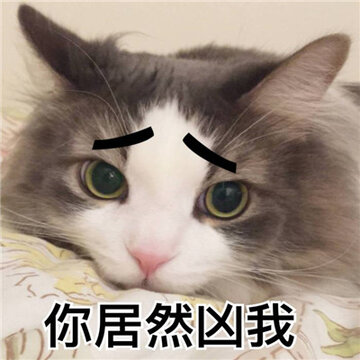 20170202105136_PukJR.thumb.700_0.jpg