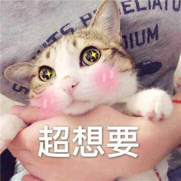 20170202105432_XTHaA.thumb.700_0.jpg