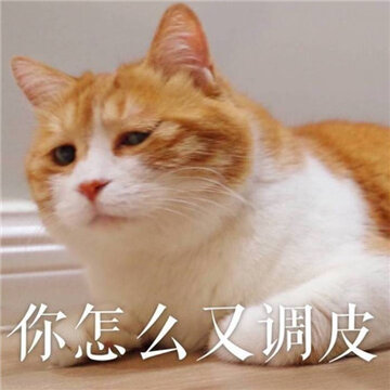 20170330115231_jKT8h.thumb.700_0.jpg