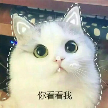 20170406161248_KNdCa.thumb.700_0.jpg