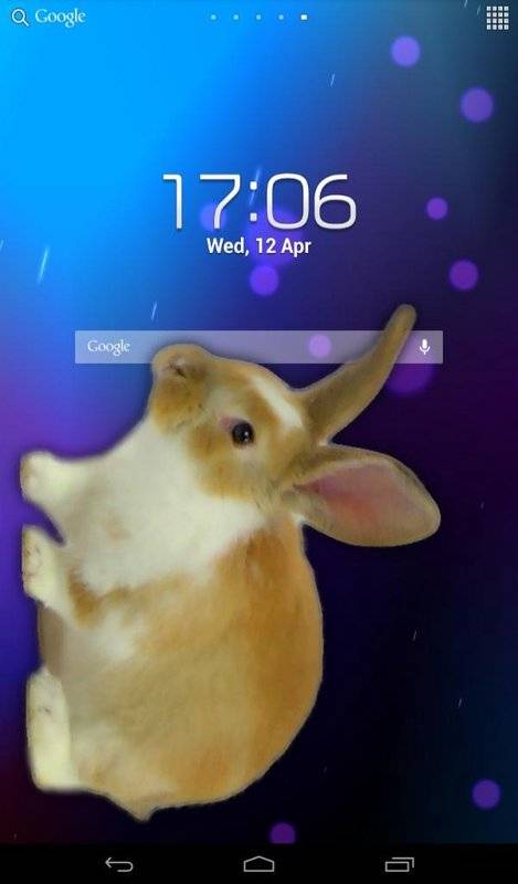 Bunny In Phone Cute jokeֻɰЦİv1.1 °
