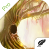 ����Pro mac��v1.2 ���԰�