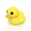 escape game ducks��Ϸ����v1.0 iPhone��