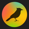 TaoMix2����������iOS����v2.0.9 iPhone/iPad��