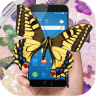 Butterfly in Phone Lovely joke�ֻ���Ļ��һȺ����APPv1.0 ��ʽ��