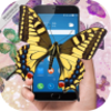 Butterfly in Phone Lovely joke�ֻ���Ļ��һȺ����APPv1.0 ��ʽ��