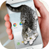 Cat Walks in Phone Cute joke�ɰ�è��̬��Ļapp�ٷ�����