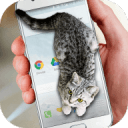 �ɰ�è��̬��Ļ�������°�����Cat Walks in Phone Cute jokev1.0 �ֻ���