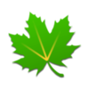 ��ɫ�ػ�3.8.5build38500���������汾v3.8.5 ��׿��